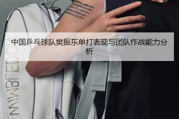 中国乒乓球队樊振东单打表现与团队作战能力分析
